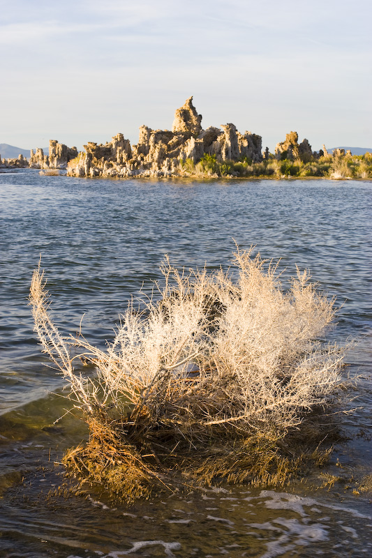 Mono Lake